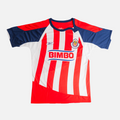 CHIVAS 2007/08 LOCAL